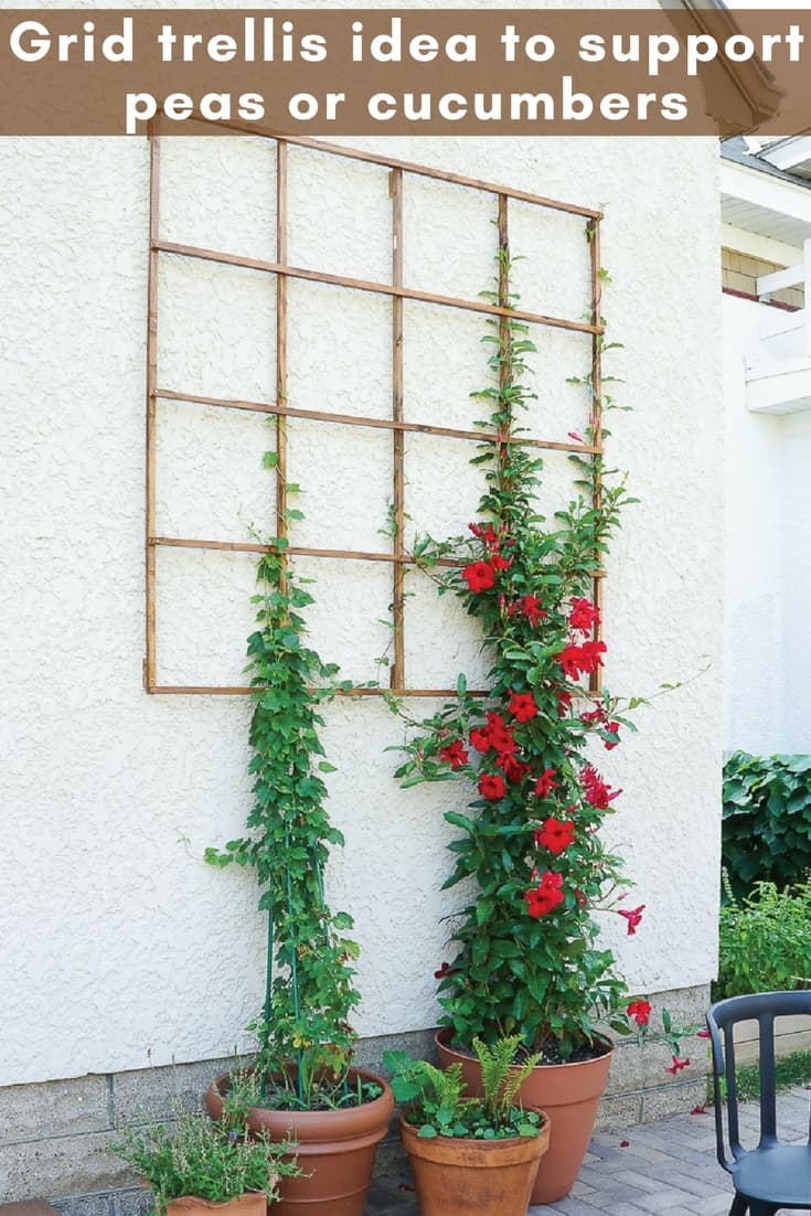 diy vertical garden_ grid trellis