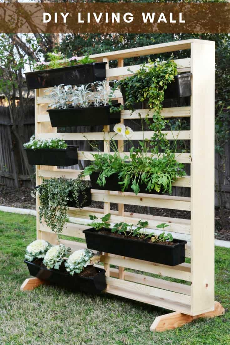 diy vertical garden the living wall