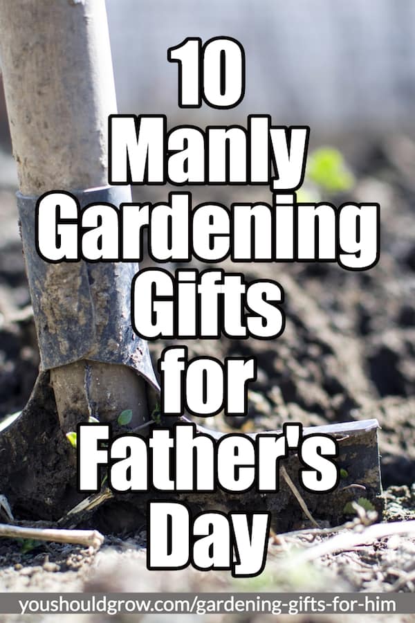 10 manly gardening gifts for Father's day white text over image of shovel in the dirt