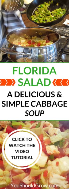 A delicious and simple cabbage soup recipe uniquely name Florida Salad