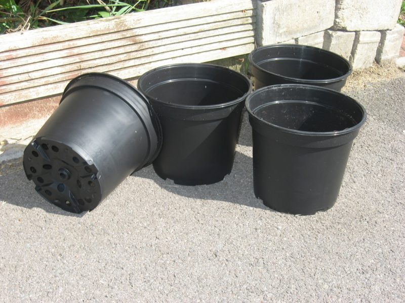 When you grow vegetables in containers, you must make sure your containers have drainage holes.