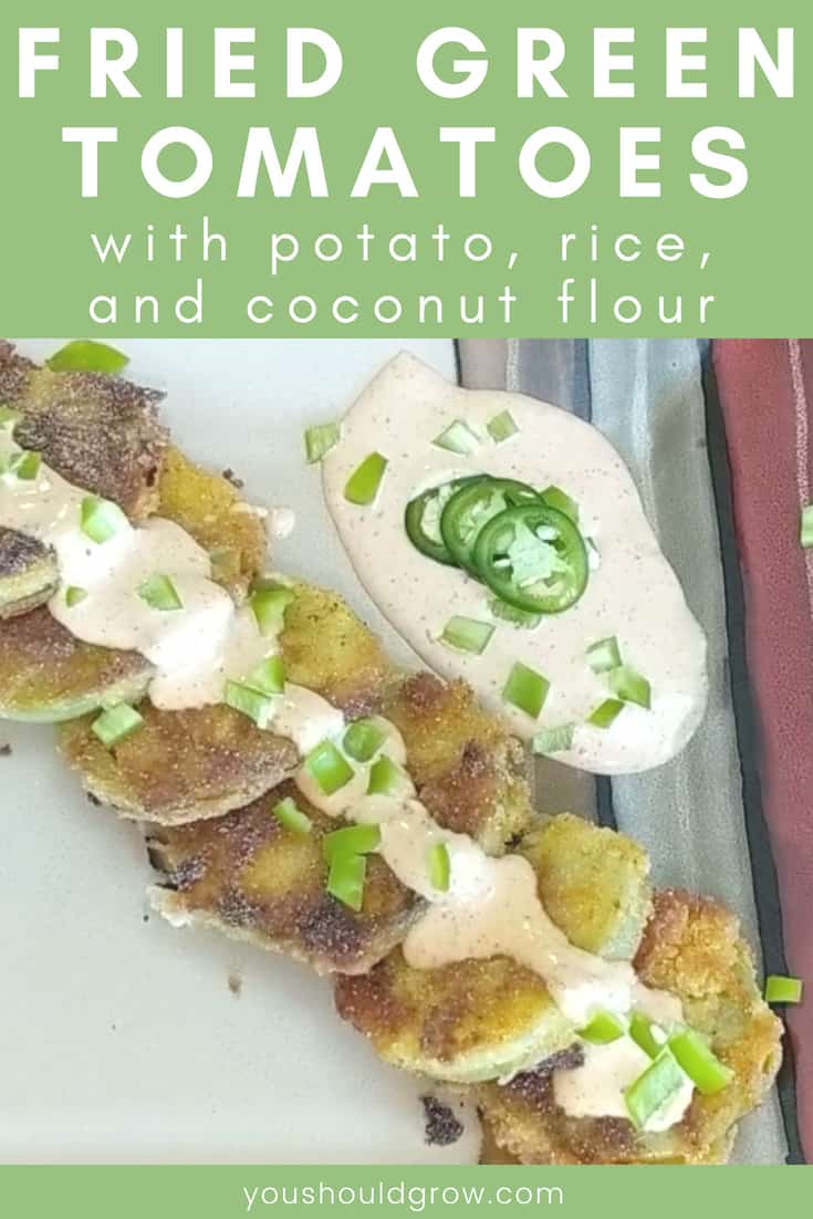 fried green tomatoes with potato rice and coconut flour