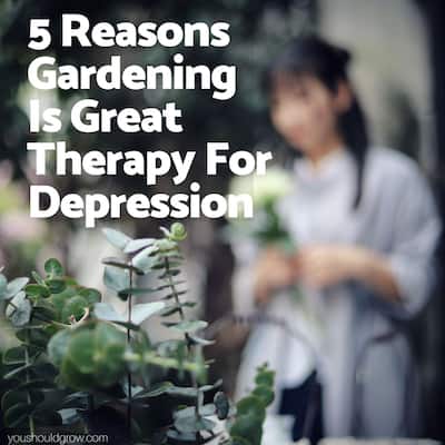 Horticultural Therapy: 5 Reasons Playing In The Dirt Makes You Happy