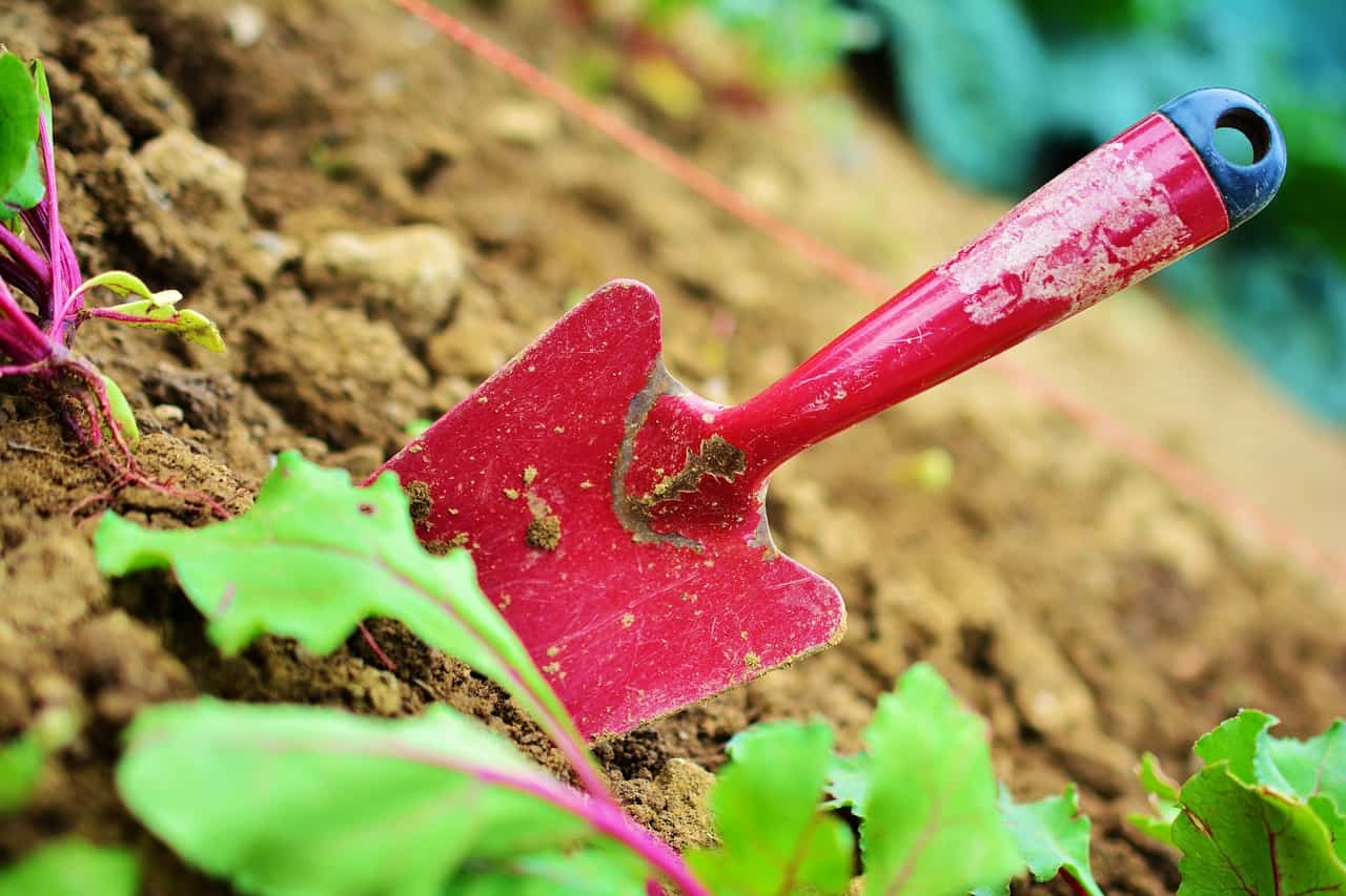 Genius uses for wax paper: clean your garden tools.