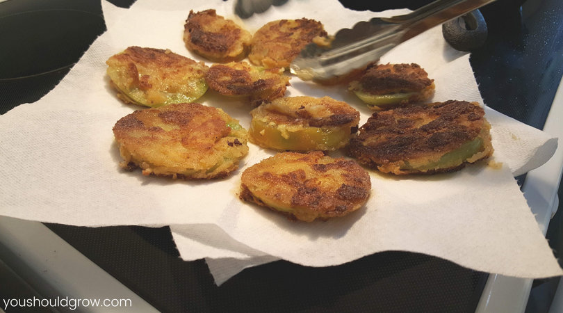 gluten free fried green tomatoes 