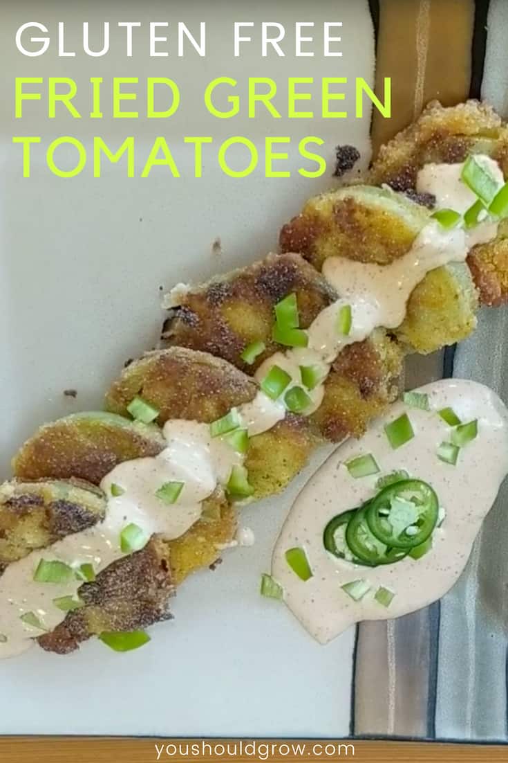 Gluten Free Fried Green Tomatoes Recipe