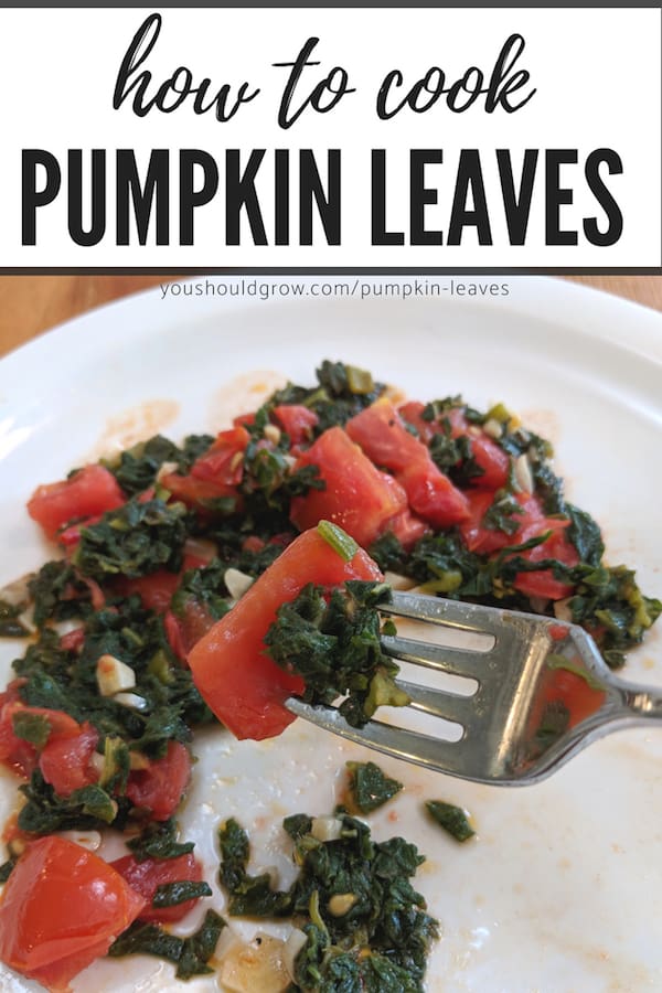 how to cook pumpkin leaves