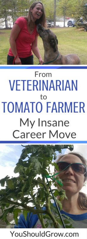Change is inevitable. How I reacted when I lost my job. From veterinarian to tomato farmer: my insane career move.