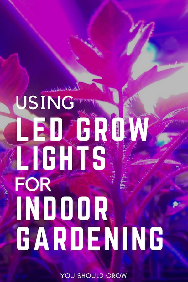 Using Full Spectrum LED Grow Lights For Indoor Gardening