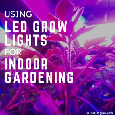 Using Full Spectrum LED Grow Lights For Indoor Gardening