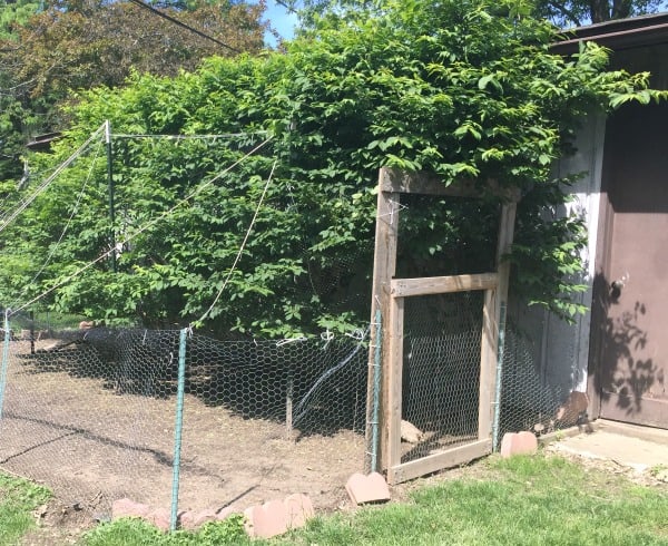 Chicken coop run off garage