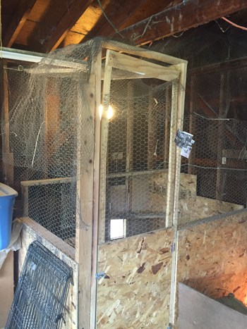 simple chicken coop idea