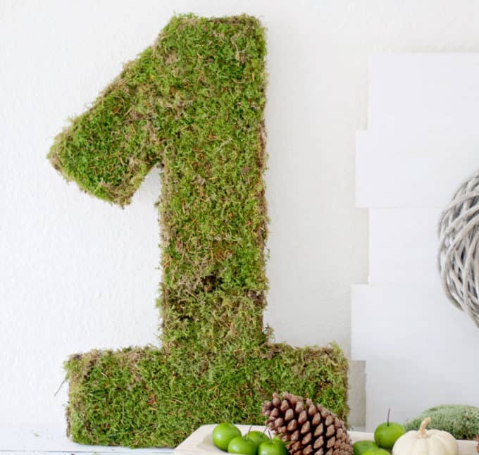 DIY moss decor ideas: Moss covere number 1