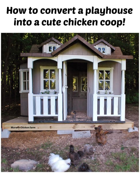 chicken coop made from playhouse