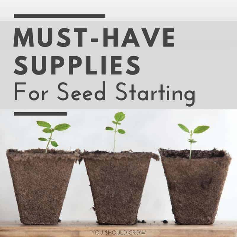 Must Have Supplies For Seed Starting