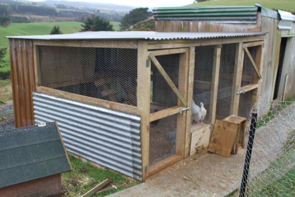 homemade chicken coop picture