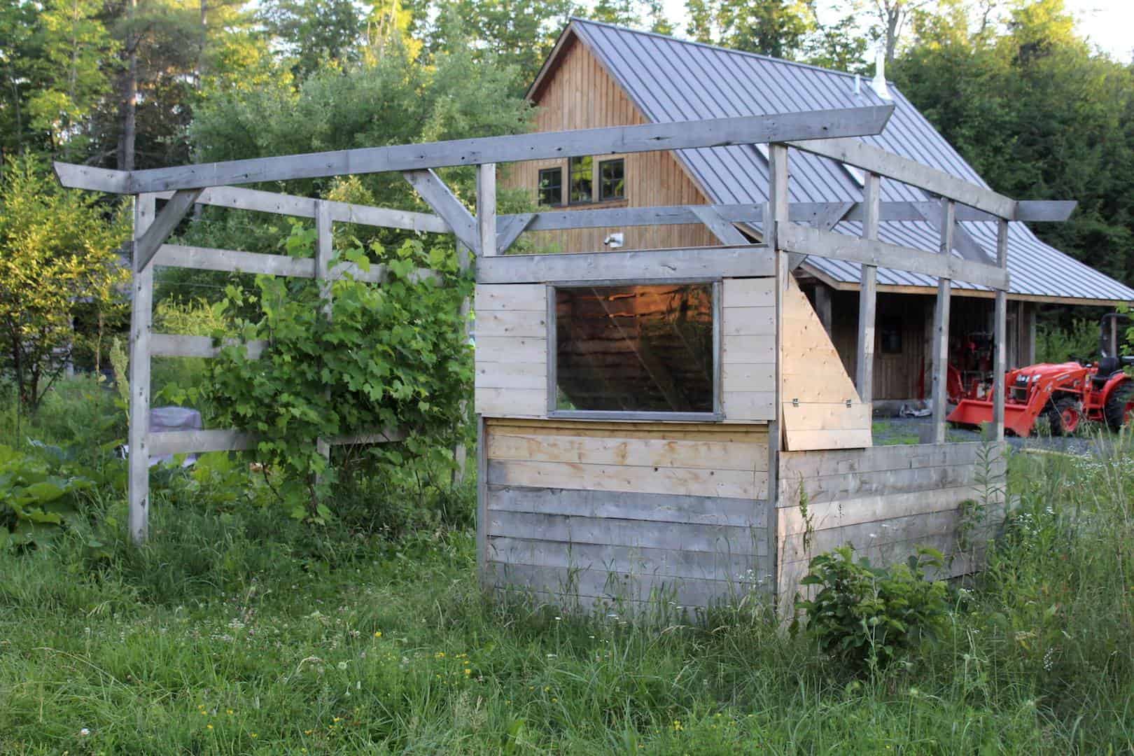 chicken coop with compost bin and grape arbor