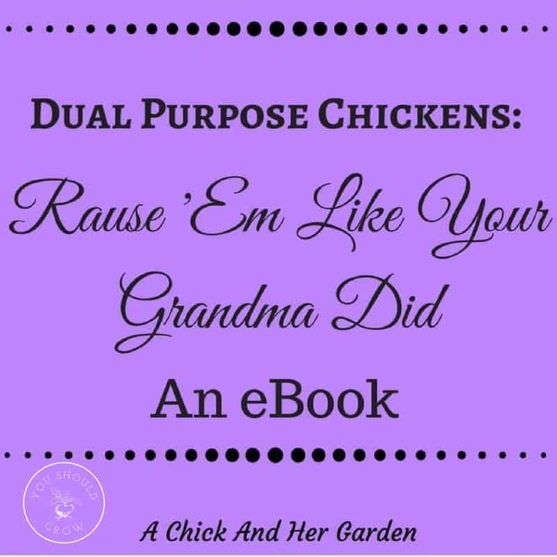 Book Review: ‘Dual Purpose Chickens: Raise ‘Em Like Your Grandma Did’