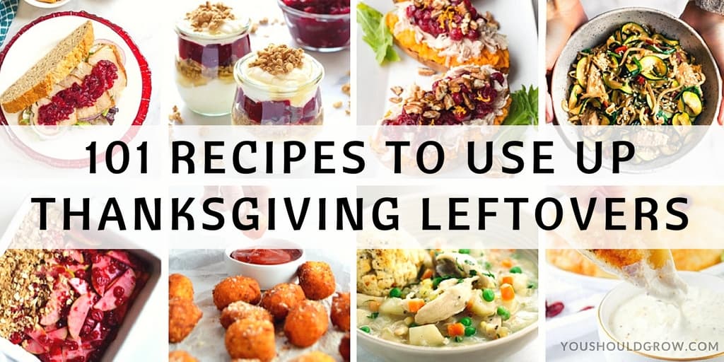 101 Thanksgiving Leftover Recipes For Every Meal - You Should Grow
