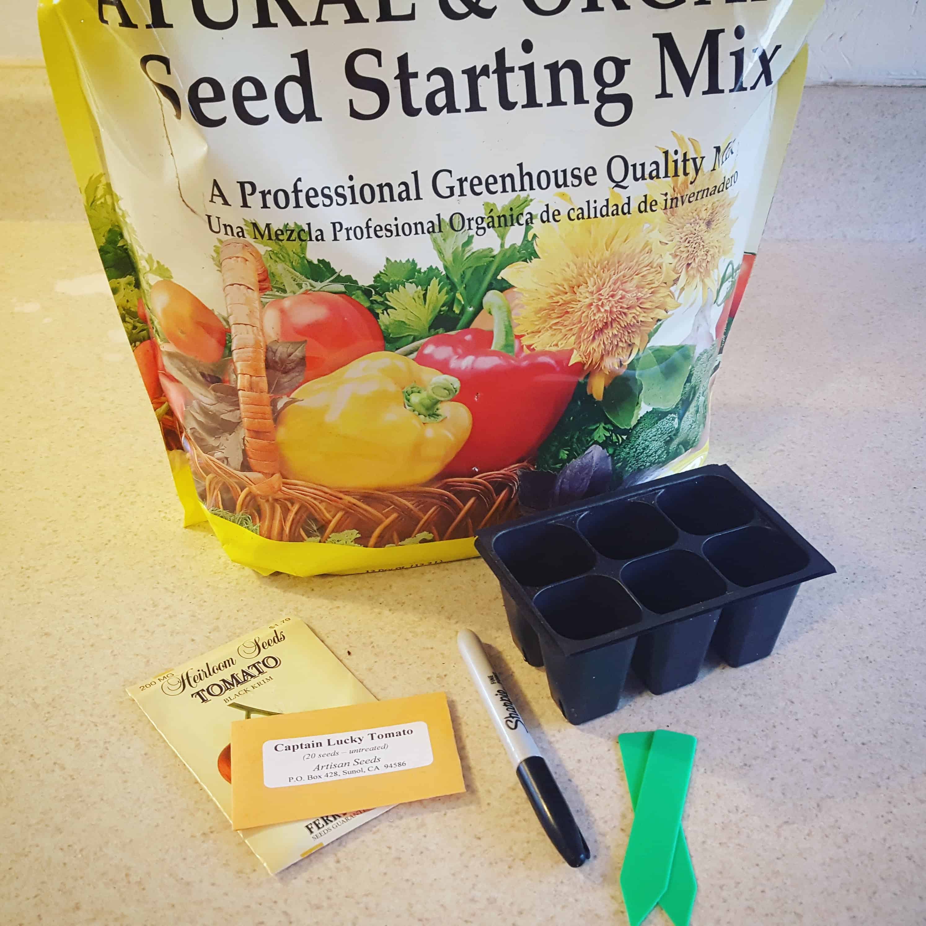 Gathering supplies to start tomatoes from seed.