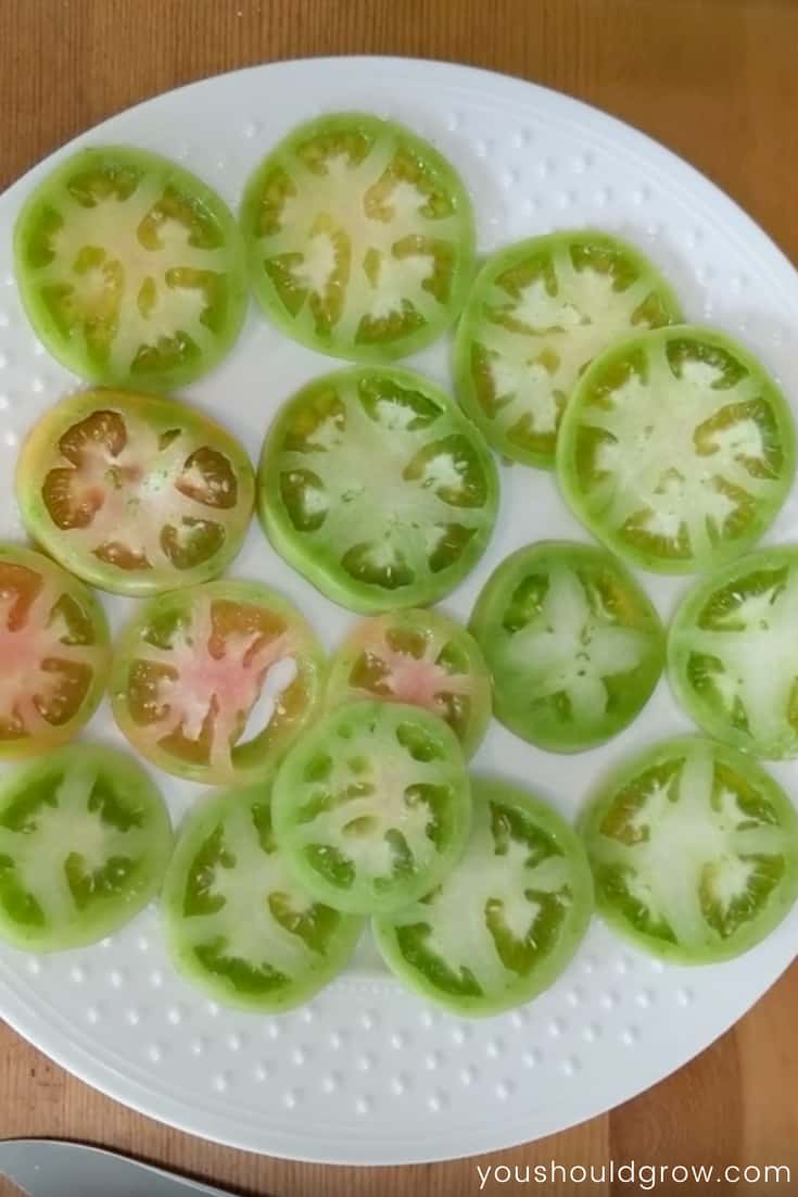 Sliced green tomatoes ready for frying!