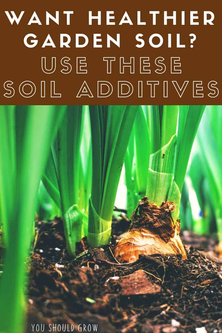 Gardening tips: use these soil additives to improve the health of your garden.