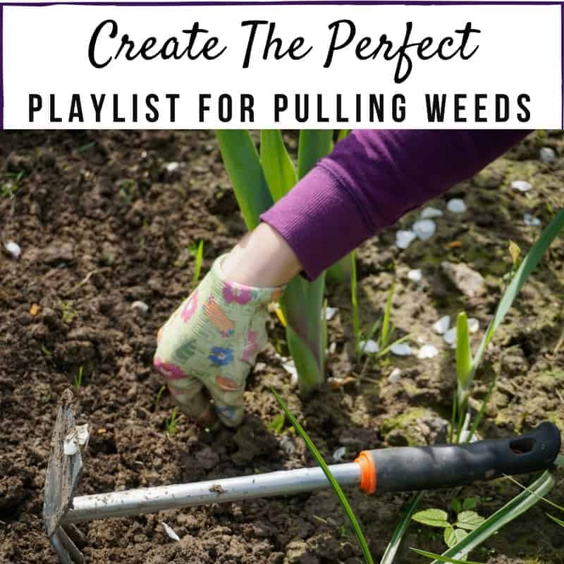 Create The Perfect Song Playlist For Pulling Weeds