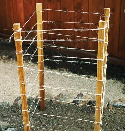 stake and twine tomato cage