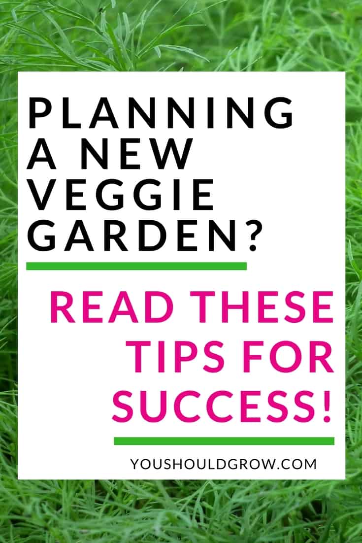 Gardening for beginners: How to start a new vegetable and herb garden. 