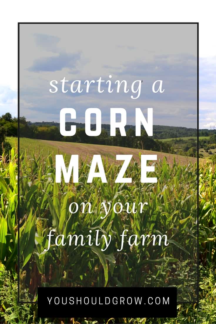 Starting a corn maze on your family farm? Read this first!