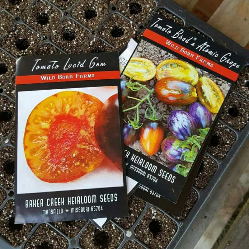 Must Have Supplies For Seed Starting - You Should Grow