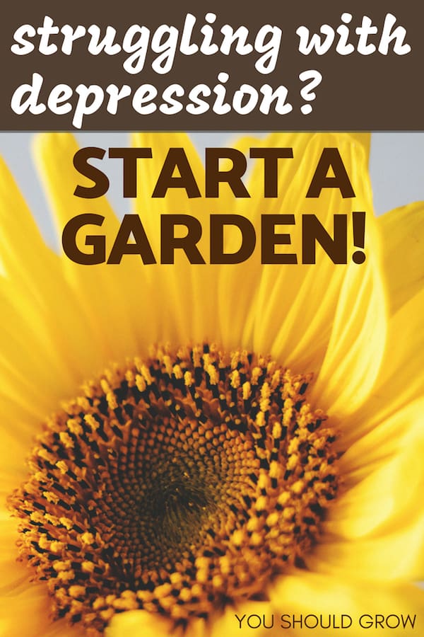 If you're struggling with depression, start a garden! Image of sunflower with text