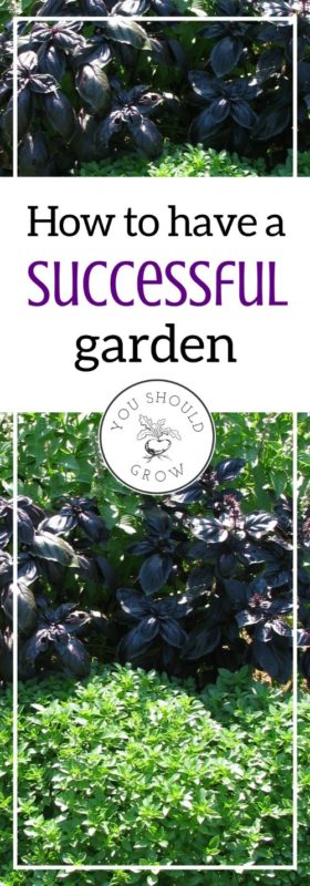 How to have a successful garden. Tips for getting the best results for homegrown food.