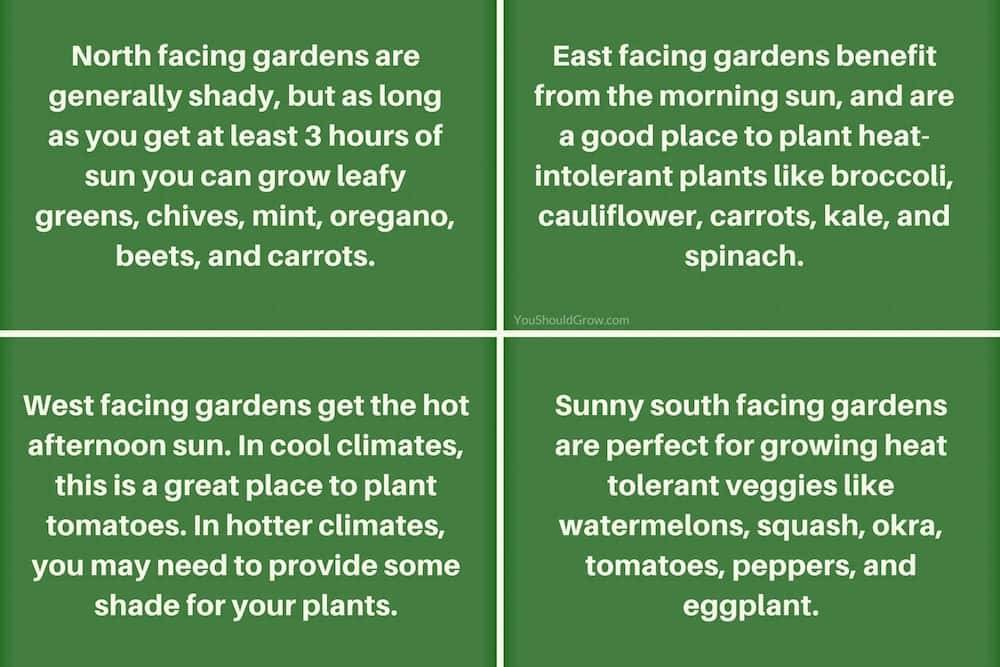 How to predict sun exposure using direction for garden planning