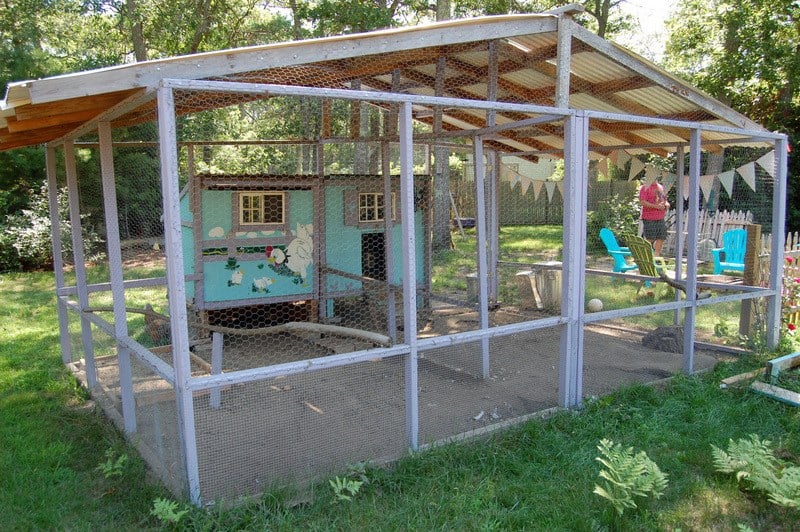 diy chicken coop from thecapecoop.com