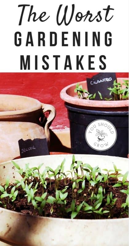 The worst gardening mistakes you can make and how to fix them.