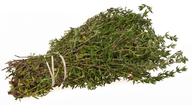 thyme is easy to grow