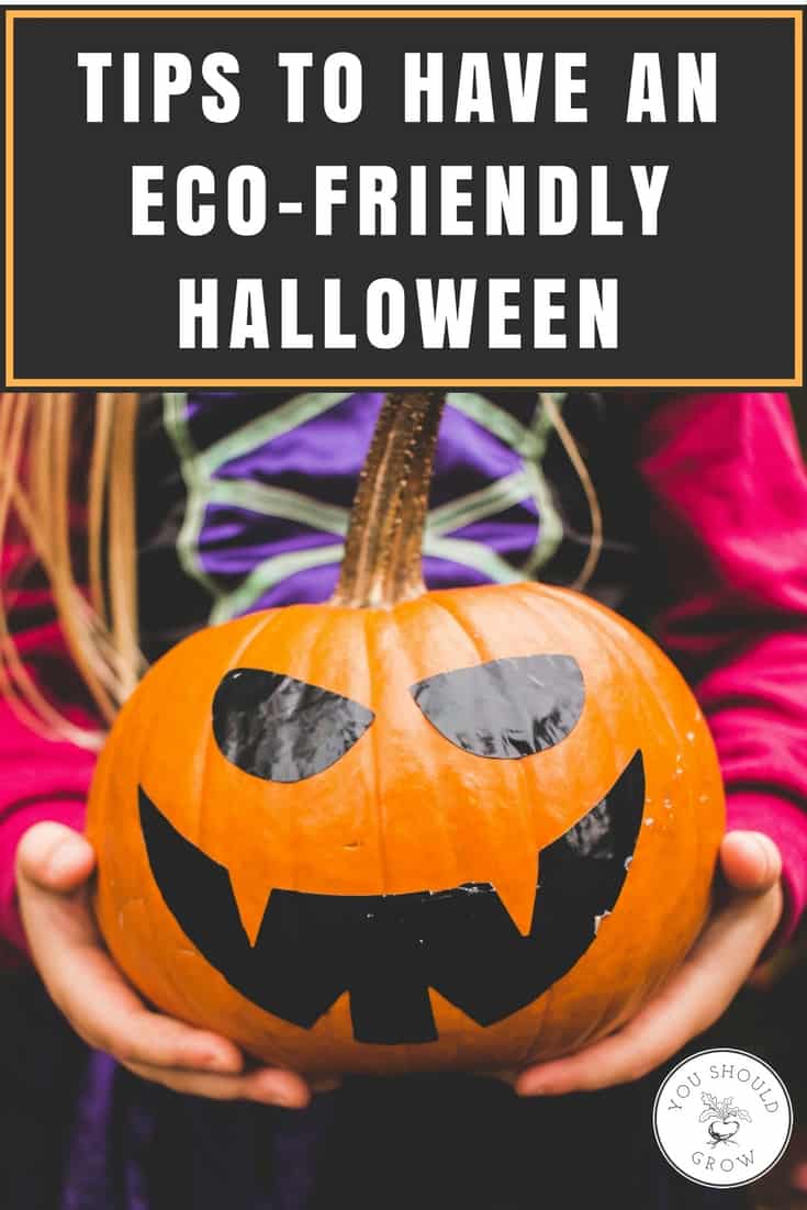 Worried about your impact on the environment this Halloween? Here are some great tips for making this fun holiday more eco-friendly.