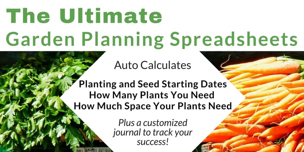 Ready to use garden planning spreadsheets. Customized them with your frost dates and let them do their magic. Learn when to start seeds, plant your garden, track germination, and more.