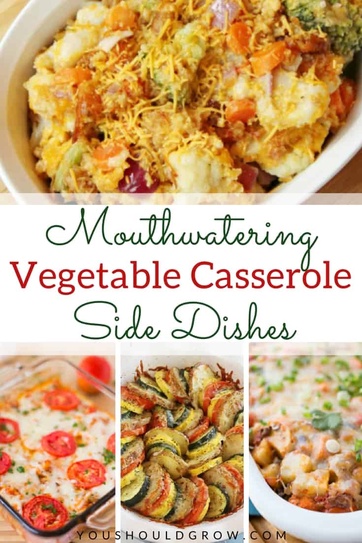 Incorporate lots of veggies into any meal with these casserole side dishes. These vegetable casseroles are perfect for small family meals as well as large family gatherings. After all, food this good tastes even better when shared with the ones you love!