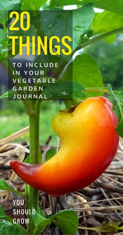 20 Things To Include In Your Vegetable Garden Journal You Should Grow