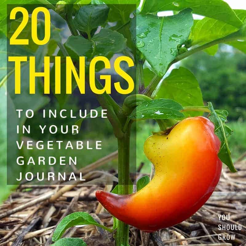 20 Things To Include In Your Vegetable Garden Journal