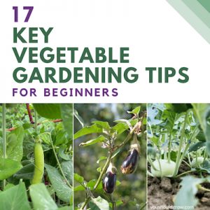 17 key vegetable gardening tips for beginners with images of vegetables growing in garden