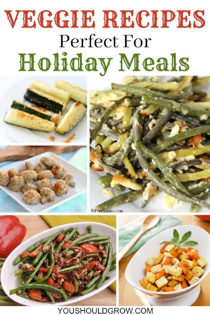 Vegetables tend to get forgotten during the holidays. Most people reach for the mashed potatoes, stuffing, gravy, and other comfort foods. Let veggies be the star this holiday season. Here are 15 veggie recipes perfect for your holiday meals.