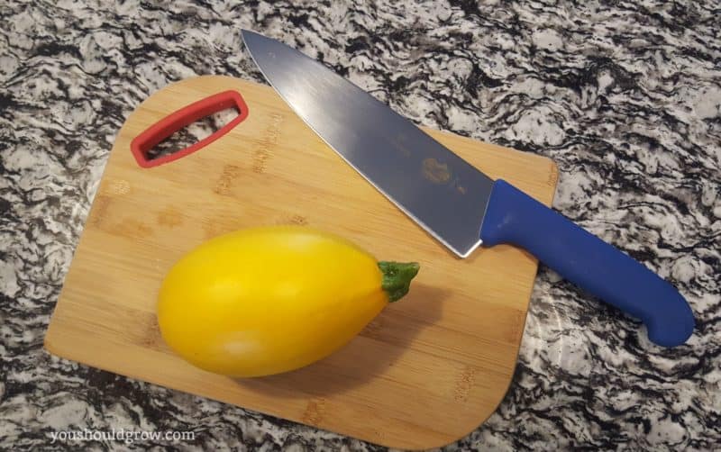 Victorinox 8 inch chef's knife included in The Homestead Box