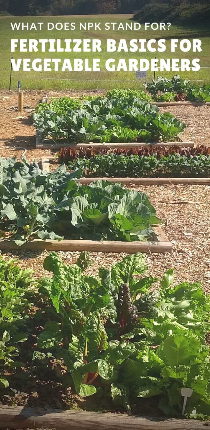 Backyard vegetable gardens. What does NPK stand for? Fertilizer basics for vegetable gardens and gardening