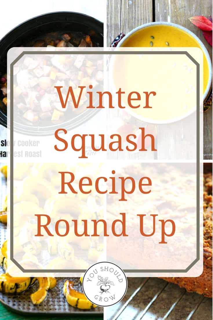 47 delicious winter squash recipes