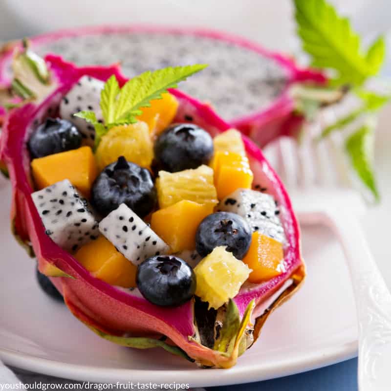 Oranges, papaya, blueberries, and dragon fruit make a fresh fruit salad in a dragon fruit bowl.
